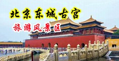 爆操肉丝袜美女中国北京-东城古宫旅游风景区